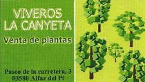 Viveros-La-Canyeta